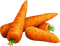 Las zanahorias - zadarmo png animovaný GIF