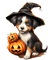 halloween, witch, animal,  herbst, autumn - 無料png アニメーションGIF