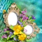 vintage frame cadre background spring - Free PNG Animated GIF