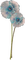 flowers anastasia - Free PNG Animated GIF