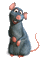 Muis,rat - GIF animado grátis Gif Animado