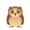 autumn owl gif 🍁🦉automne hibou