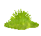grass (created with gimp) - Free animated GIF Animated GIF