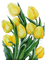 Tulpenstrauß, gelb - gratis png animeret GIF