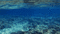 more - Darmowy animowany GIF animowany gif