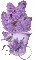 patymirabelle fleurs - Bezmaksas animēts GIF animēts GIF