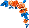 Roses.Orange.Blue - δωρεάν png κινούμενο GIF