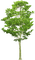natur - Free PNG Animated GIF