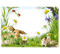 summer animal frame - безплатен png анимиран GIF