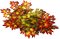 leaves fall autumn feuille leaf - PNG gratuit GIF animé