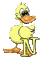 Kaz_Creations Alphabets Ducks Letter N - 無料のアニメーション GIF アニメーションGIF