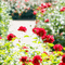 Red Flowers Background - Δωρεάν κινούμενο GIF κινούμενο GIF