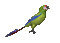 Parrot - Darmowy animowany GIF animowany gif