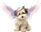 Cachorro com asas - Besplatni animirani GIF animirani GIF