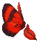 mariposa - Nemokamas animacinis gif animuotas GIF