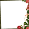 frame cadre flowers - gratis png animerad GIF