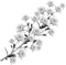 tube white winter  deco flowers - PNG gratuit GIF animé