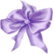 Bow-purple
