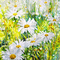 soave background animated painting flowers daisy