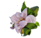 spring flower - gratis png animerad GIF