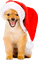 Kaz_Creations Christmas Dog Pup Dogs Colours - kostenlos png Animiertes GIF