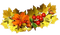 Herbstblätter, Früchte, Tomaten - png gratis GIF animasi