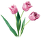 flores transparentes dubravka4 - png gratis GIF animado