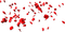 soave deco petals red - δωρεάν png κινούμενο GIF