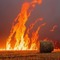 Field on Fire - kostenlos png Animiertes GIF