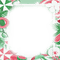 soave frame summer pool tropical flowers fruit - Free PNG Animated GIF