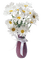 fleur - бесплатно png анимированный гифка