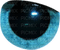 oko - bezmaksas png animēts GIF