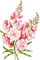 Цветы - besplatni png animirani GIF