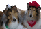 dog dress up bp - Bezmaksas animēts GIF animēts GIF