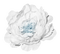 minou-white-flower-rose