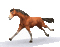aze cheval s34 marron Brown - Бесплатный анимированный гифка анимированный гифка