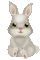 Bunny.Lapin.Rabbit.Conejo.Pâques.Easter.Pascua.Victoriabea - GIF animé gratuit GIF animé