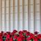 White Wall Panels with Roses - δωρεάν png κινούμενο GIF