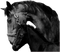 cecily-chevaux noirs - bezmaksas png animēts GIF