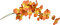 Automne - 免费PNG 动画 GIF