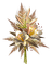 flores mahg - бесплатно png анимированный гифка