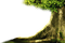 bosque - ücretsiz png animasyonlu GIF