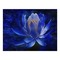 lotus bleu - png gratis GIF animado