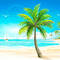 summer beach bg gif dolceluna - Zdarma animovaný GIF animovaný GIF