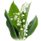 flowers lily of the valley bp - δωρεάν png κινούμενο GIF
