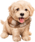 Kaz_Creations Dog Pup - bezmaksas png animēts GIF