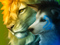 lion & loup - png gratuito GIF animata