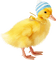 Kaz_Creations Easter Deco Chick - gratis png animerad GIF