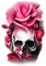 soave deco gothic skull flowers rose black white - PNG gratuit GIF animé
