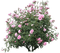 arbol con flores - Ücretsiz animasyonlu GIF